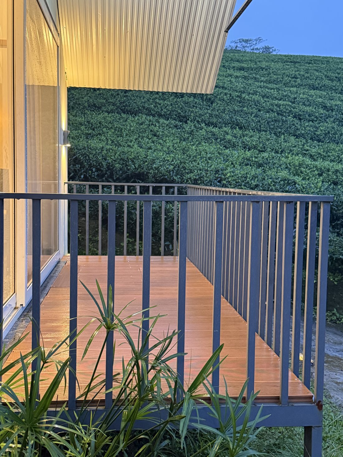 Cottage balcony deck at dusk over the tea estate