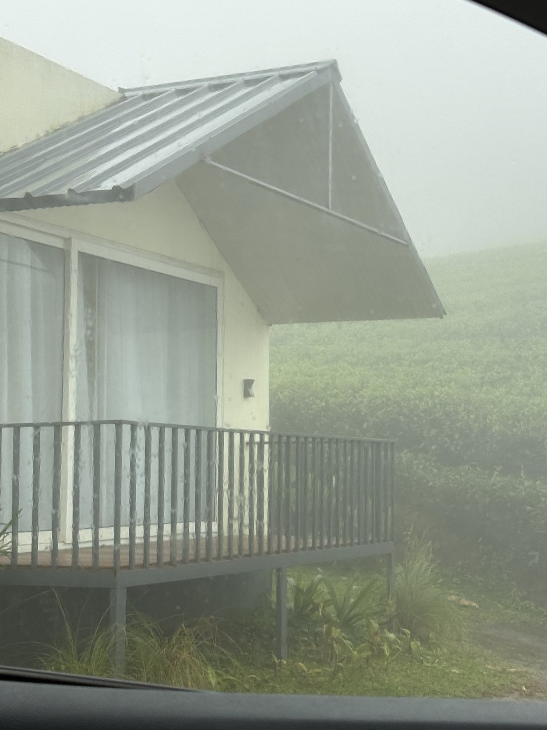 Fog rolling over the estate